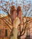 Sticky Image